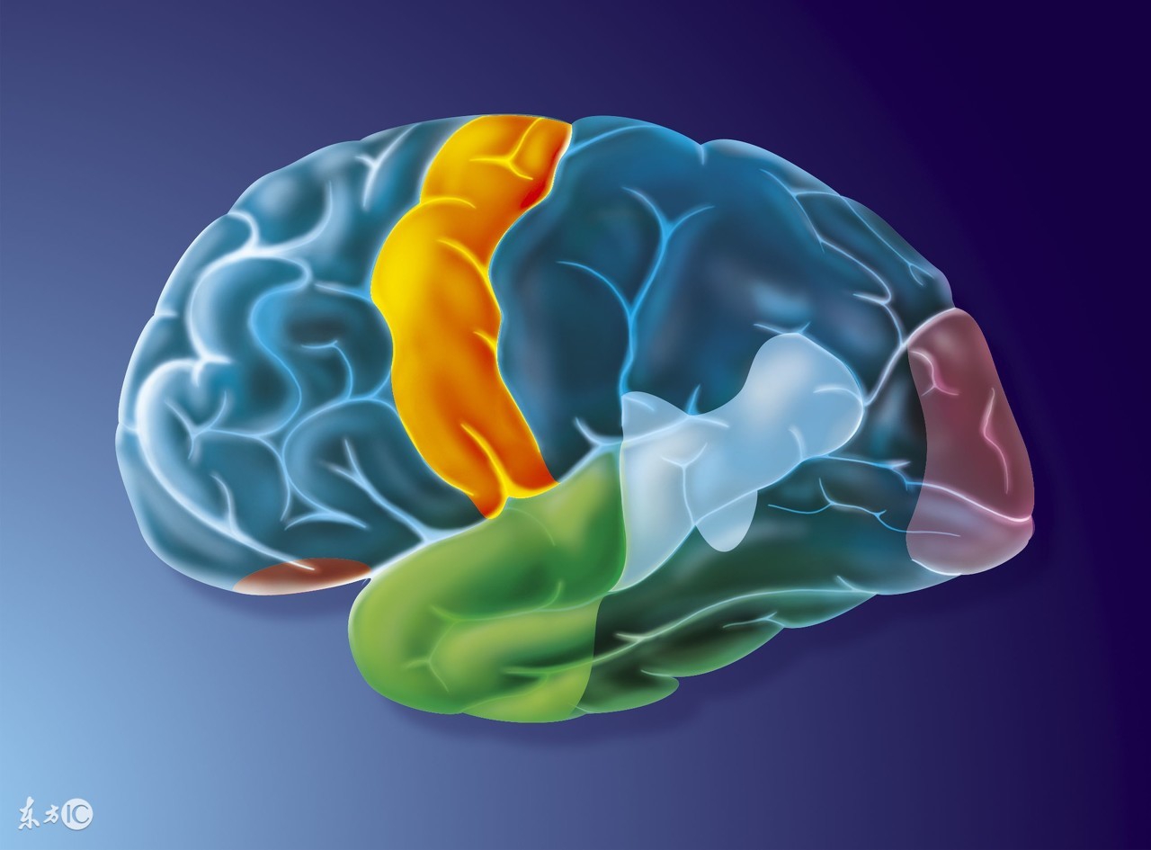 神奇记忆法真的假的,超级记忆术大概内容