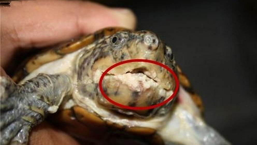 总结一些小病的治疗方法