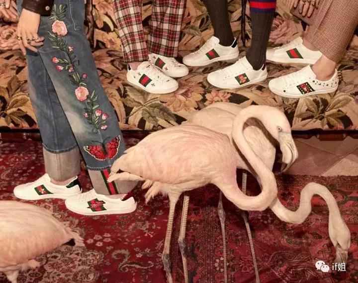 guccimarmont系列鞋,gucci新款冷门运动鞋