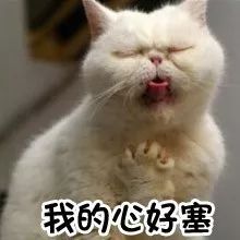 不要再随便乱用词语了，小仙女老公出局解读分分钟辣眼睛！