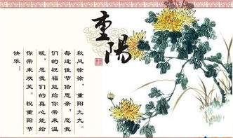 重阳节有哪些活动图片,重阳节有哪些活动意义是什么