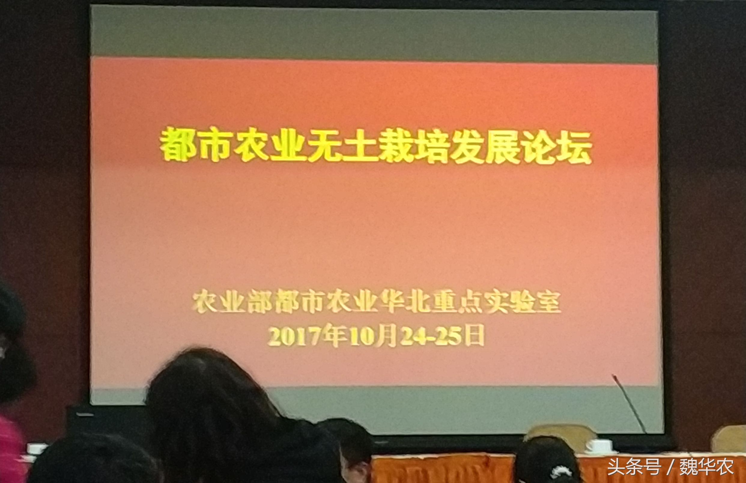 无土栽培家庭蔬菜种植方案怎么写,潮汐虹吸无土栽培蔬菜技术视频