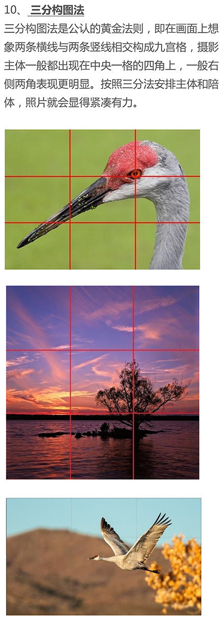 最简单的摄影知识,基本构图摄影技巧