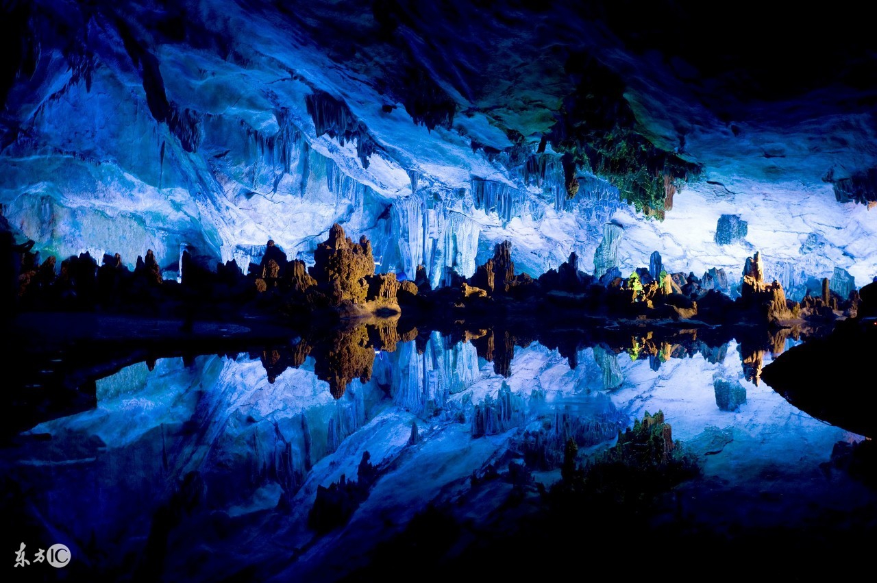 2018出生的狗宝宝几月出生好,2018年狗宝宝几月出生最好