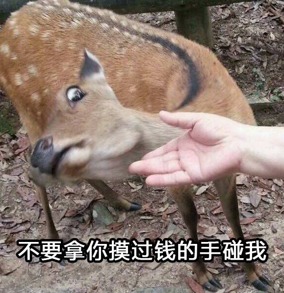 不要再随便乱用词语了，小仙女老公出局解读分分钟辣眼睛！