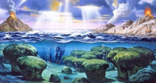 蓝藻统治了地球多少年,蓝藻爆发与什么元素有关