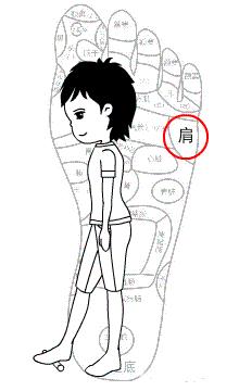 小腿外侧经络不通的症状,人的经络不通早晨起来有哪些现象
