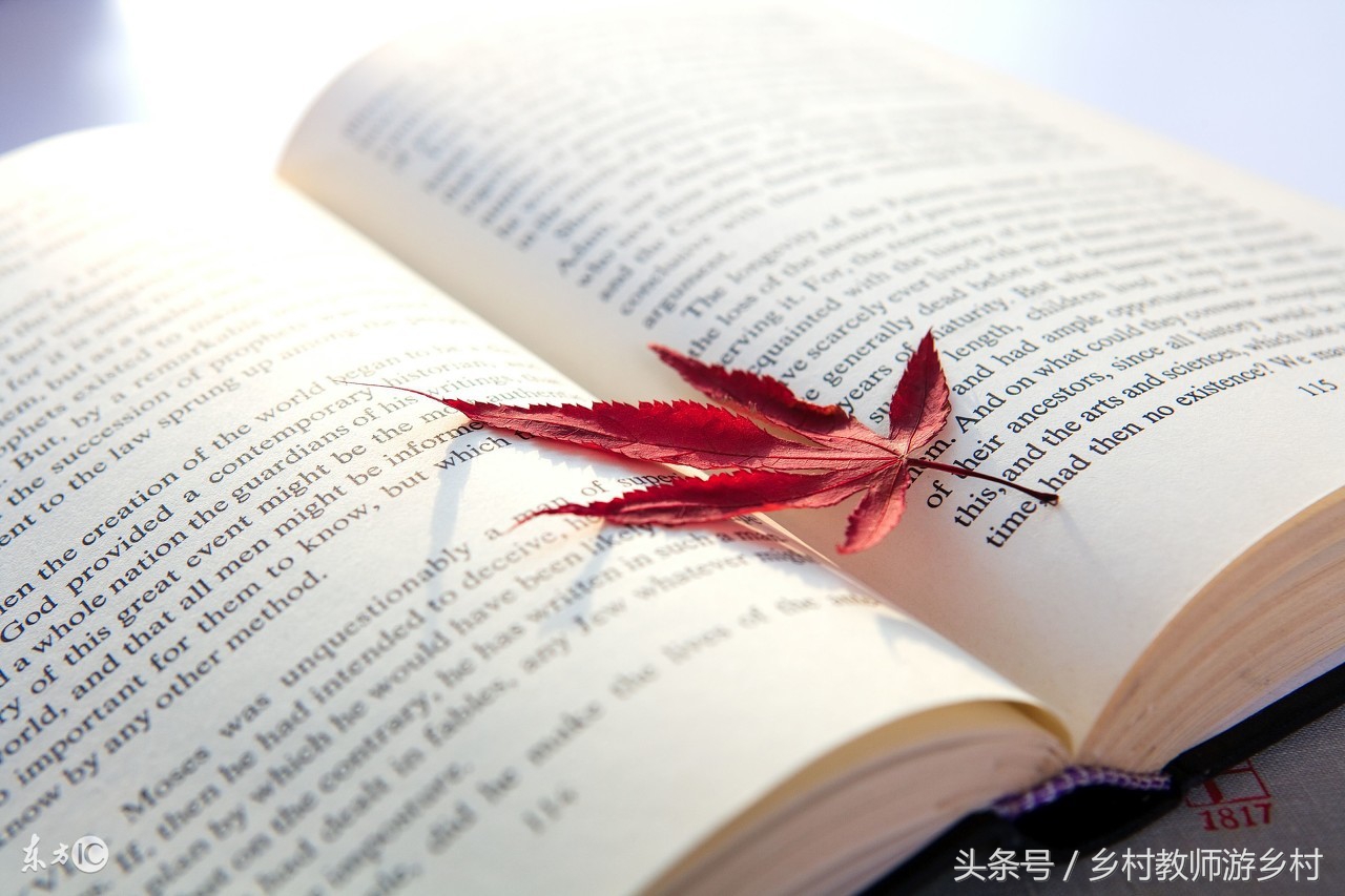 八年级上册记承天寺夜游翻译完整,八年级下册语文记承天寺夜游翻译