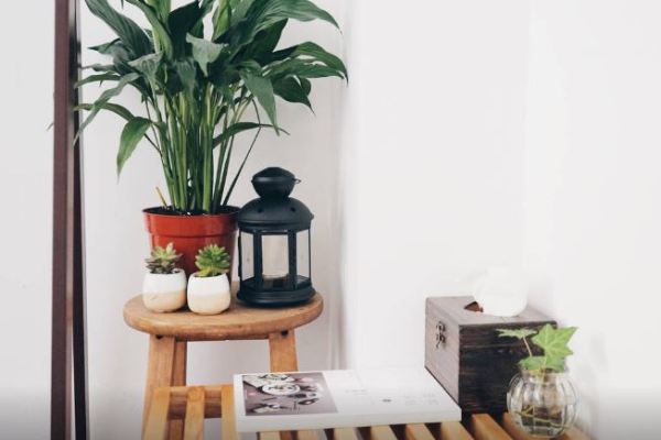 90后女生装修民宿,广州民宿低成本装修风格房间