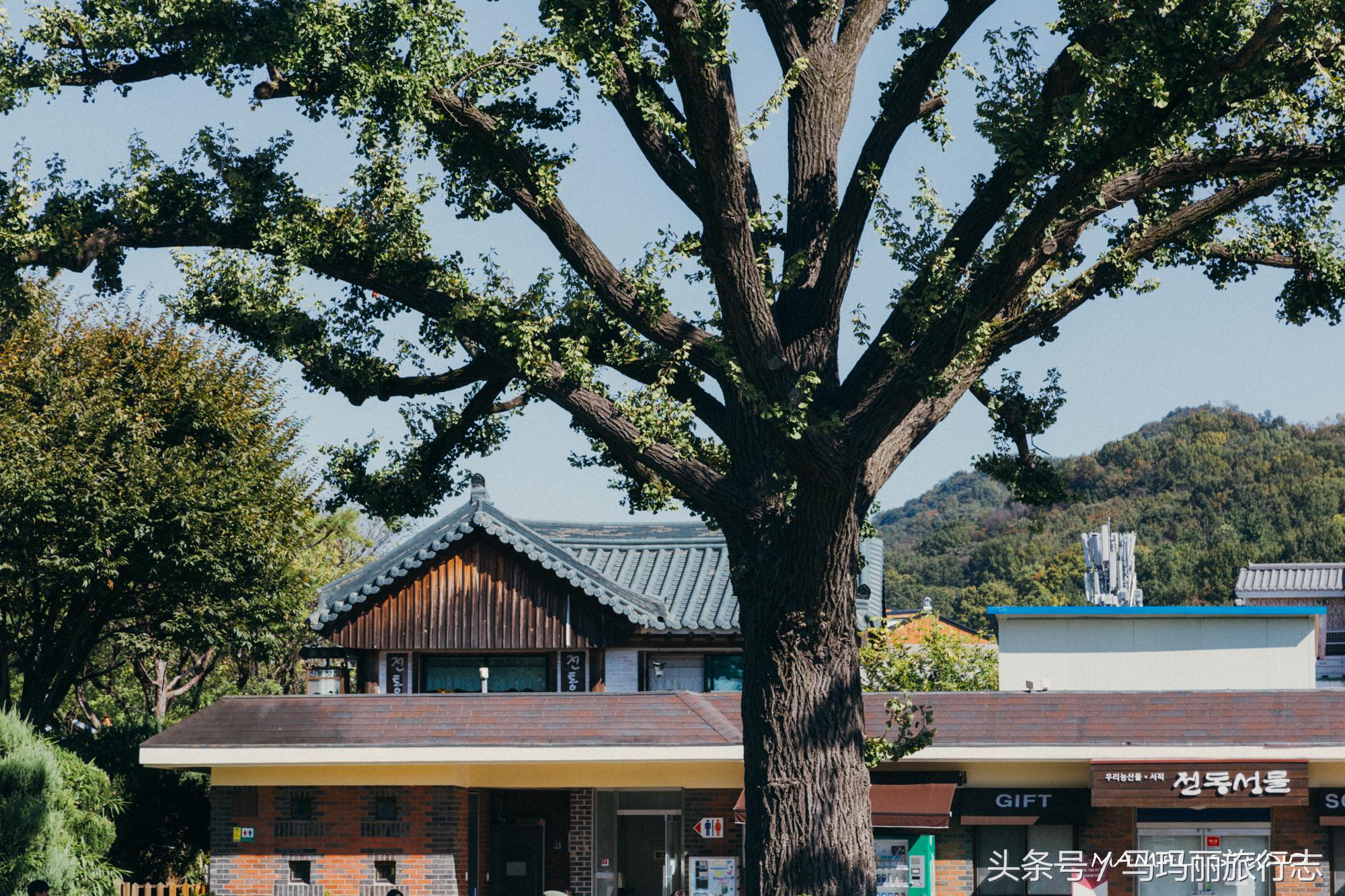 韩国首尔市全州韩屋村,韩国全州韩屋村传统文化