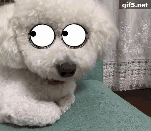 为了拥有《天才抢手》的记忆，你干过哪些丧心病狂的事？