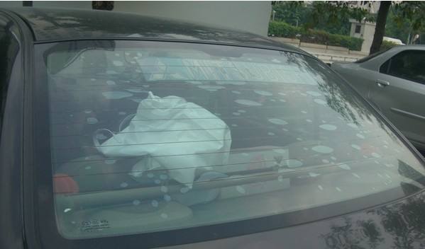 车贴膜有小白点气泡正常吗,车贴膜去膜后有气泡多久才消失