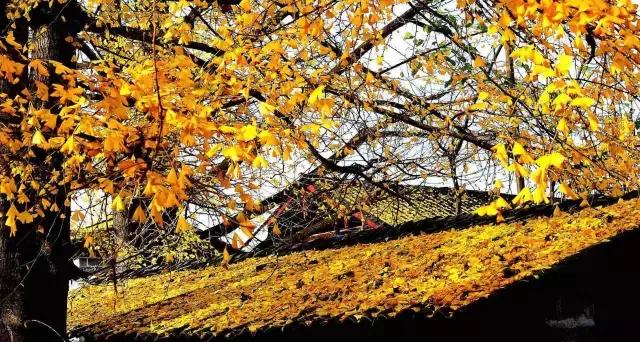 11月国内最值得去的景点,推荐七月国内最佳旅行目的地