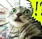 蔡依林同款舞,蔡依林传奇舞台