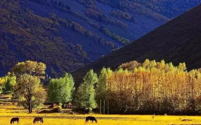 11月国内最值得去的景点,推荐七月国内最佳旅行目的地