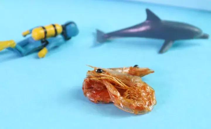 网易严选买的零食可以吃吗,网易严选的零食推不推荐