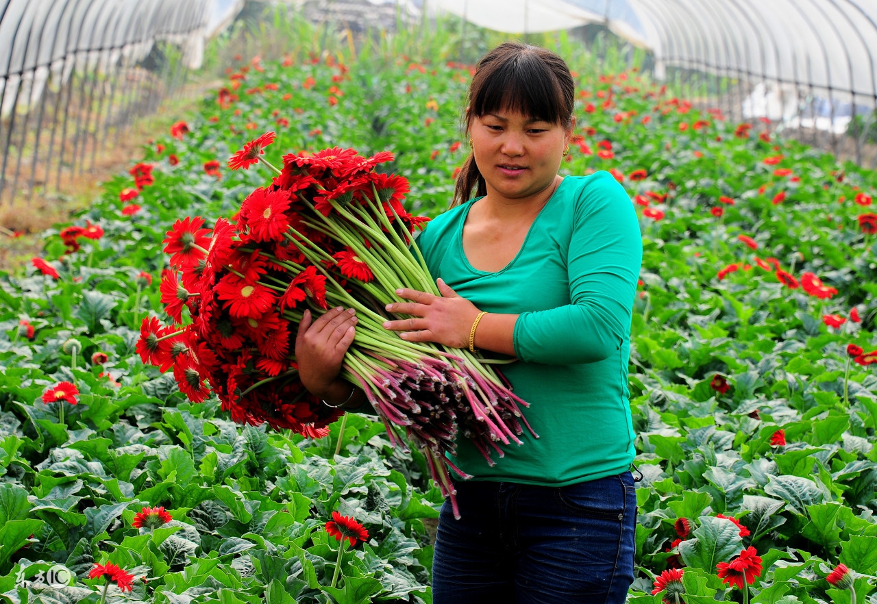 适合空置房种植养殖的项目,农村养殖种植什么项目回本