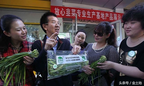 卖韭菜需要什么条件,现在卖韭菜需要什么手续