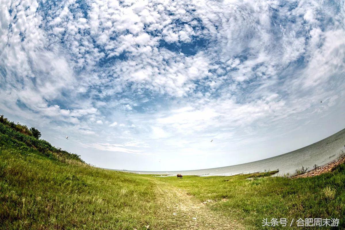 2022浜斾竴鍚堣偉鍏嶈垂鏅尯,鍚堣偉鍏嶈垂鐜╂櫙鍖哄叏鍚嶅崟