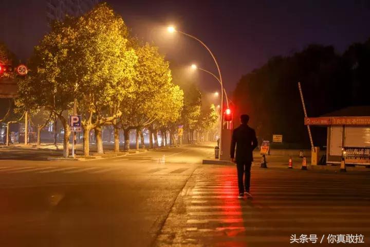 我们用49张图，记录下了零点后的临沂