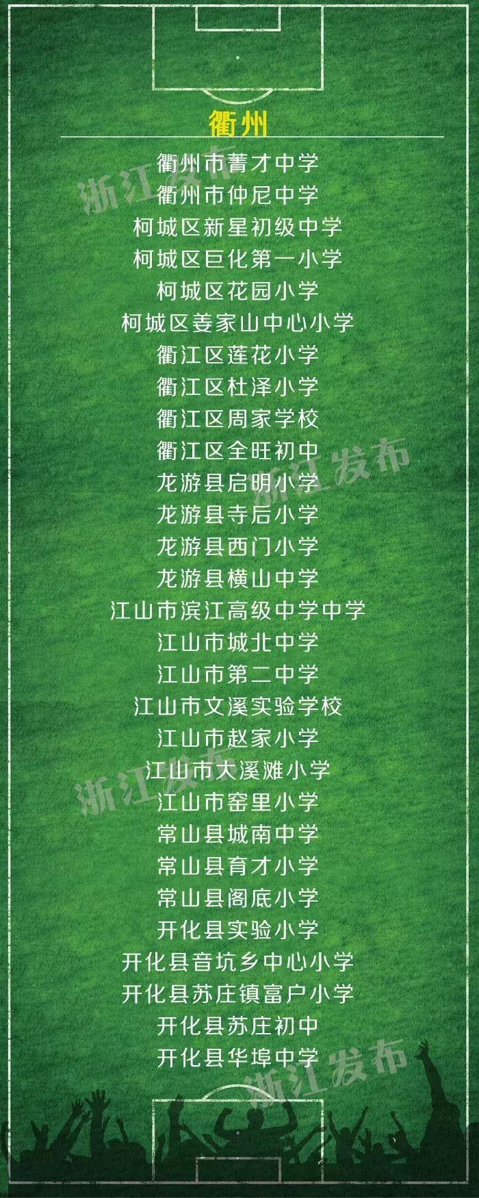 2023-2024全国青少年校园足球,浙江省校园足球2019