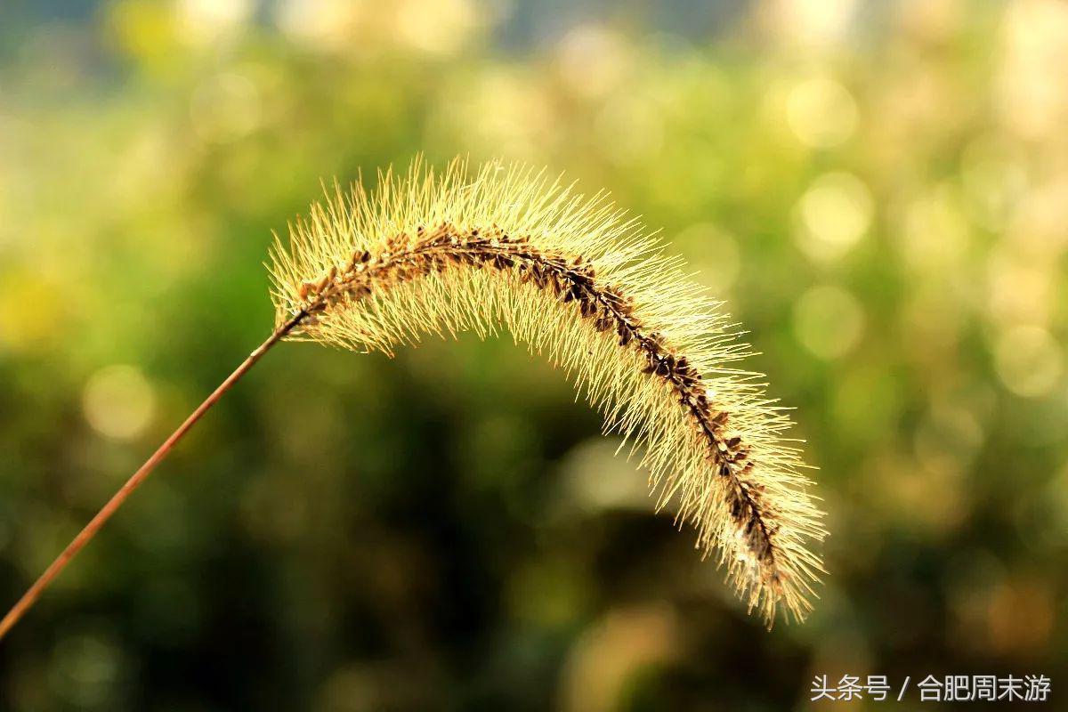 2022浜斾竴鍚堣偉鍏嶈垂鏅尯,鍚堣偉鍏嶈垂鐜╂櫙鍖哄叏鍚嶅崟