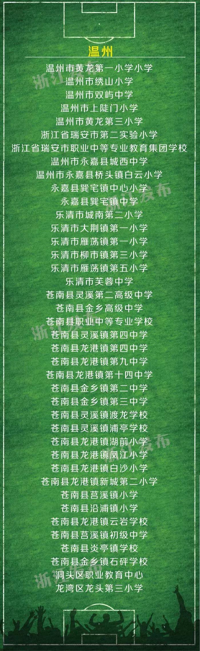 2023-2024全国青少年校园足球,浙江省校园足球2019