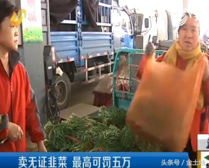 卖韭菜需要什么条件,现在卖韭菜需要什么手续