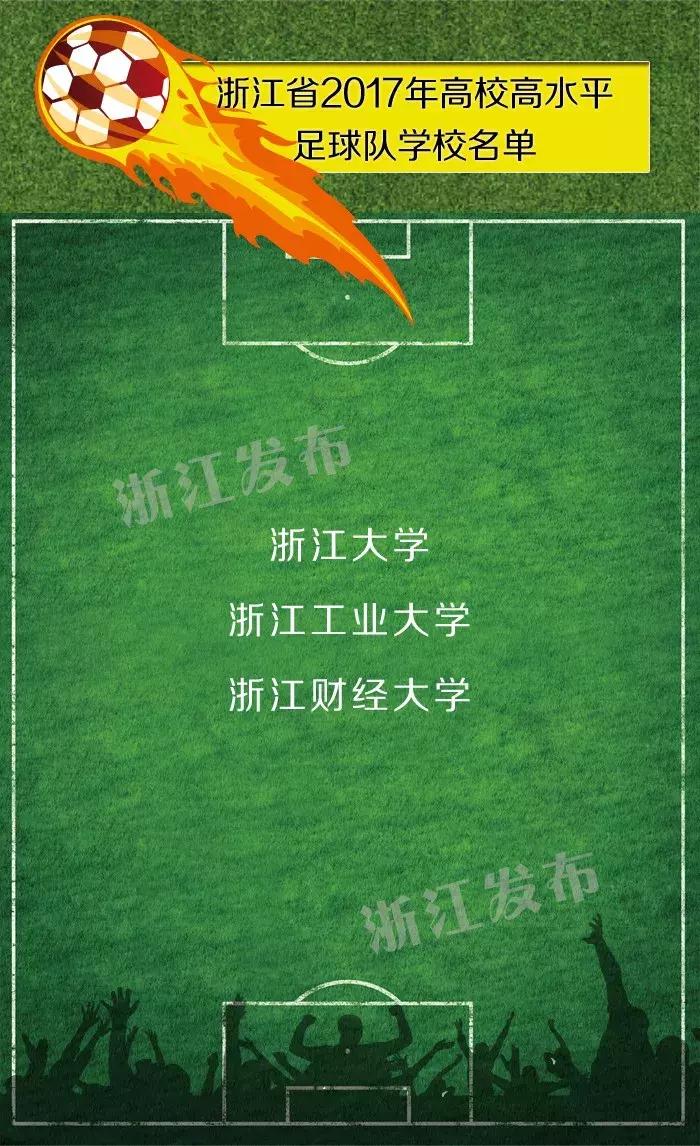 2023-2024全国青少年校园足球,浙江省校园足球2019