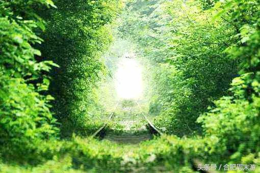 2022浜斾竴鍚堣偉鍏嶈垂鏅尯,鍚堣偉鍏嶈垂鐜╂櫙鍖哄叏鍚嶅崟