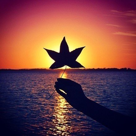 发朋友圈早安语录励志正能量,早安心语适合发朋友圈正能量短句