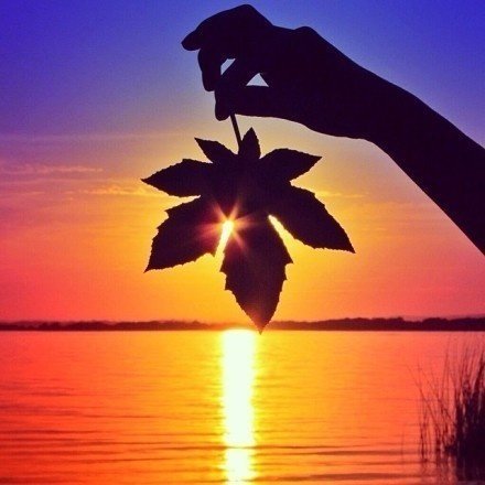 发朋友圈早安语录励志正能量,早安心语适合发朋友圈正能量短句