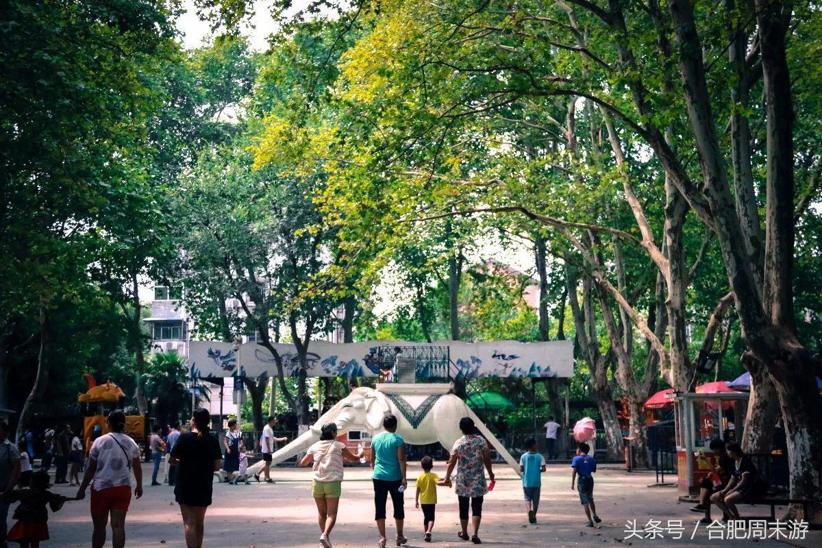 2022浜斾竴鍚堣偉鍏嶈垂鏅尯,鍚堣偉鍏嶈垂鐜╂櫙鍖哄叏鍚嶅崟