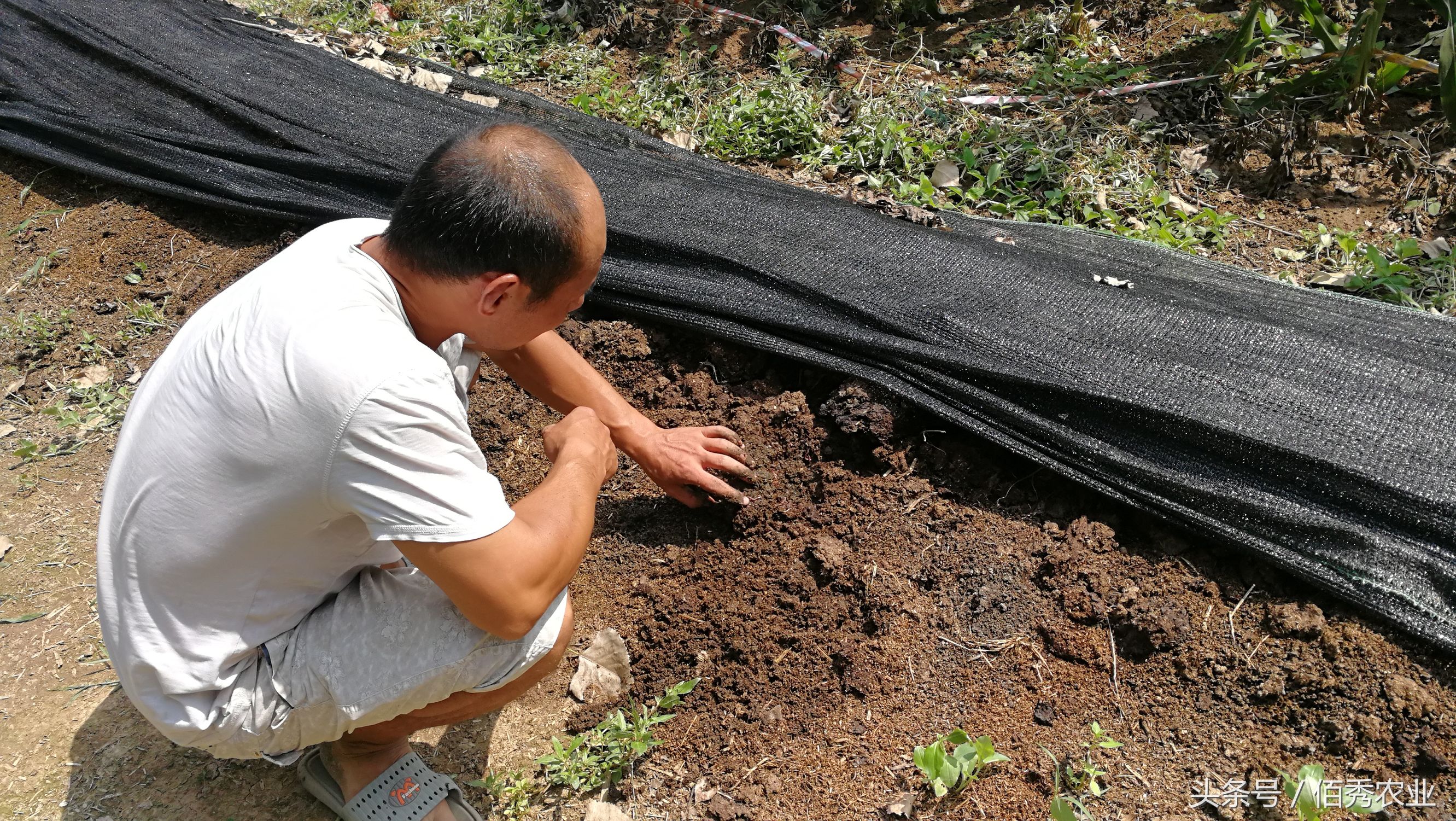 农村做什么项目能赚一点小钱,农村怎么经营赚钱的项目