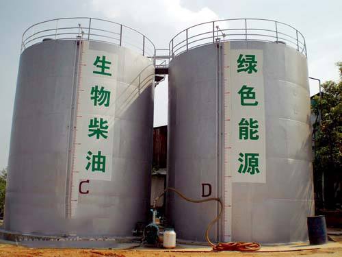 生物柴油技术与设备,生物柴油支持政策