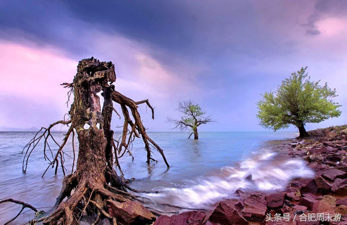 2022浜斾竴鍚堣偉鍏嶈垂鏅尯,鍚堣偉鍏嶈垂鐜╂櫙鍖哄叏鍚嶅崟