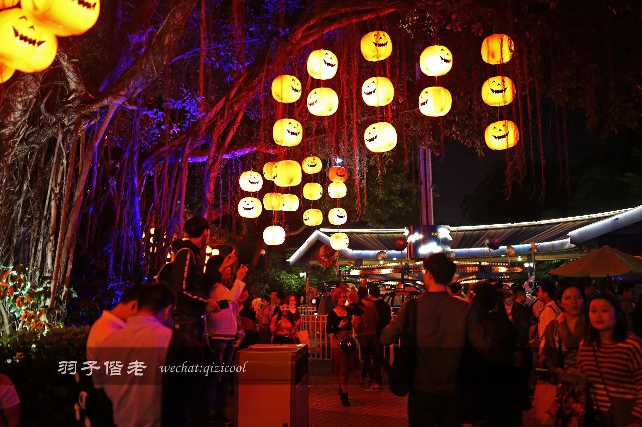 火爆全网的长隆欢乐世界万圣节,长隆表演活动时间最新万圣节