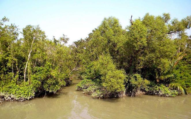 湿地和湿地动物,国外最大的湿地有什么动物