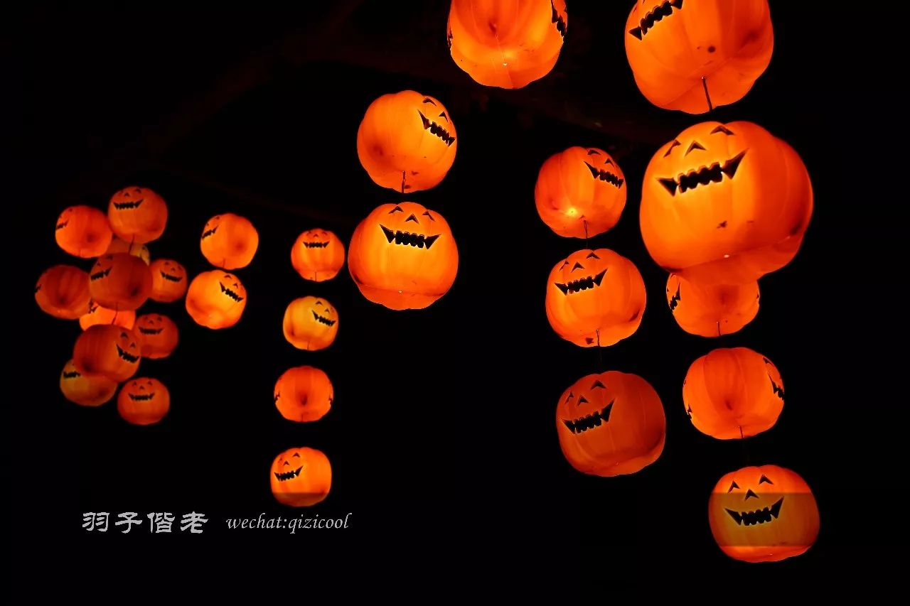 火爆全网的长隆欢乐世界万圣节,长隆表演活动时间最新万圣节