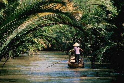 湿地和湿地动物,国外最大的湿地有什么动物