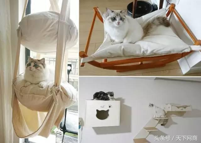 1000块的猫咪厕所,5000元猫