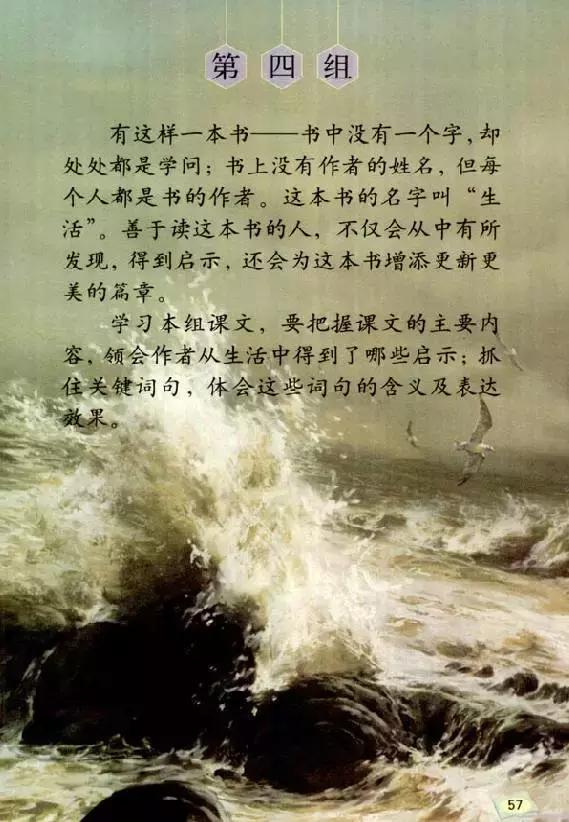 媛媛妈教语文五年级第五单元,媛媛妈人教版语文五年级下册