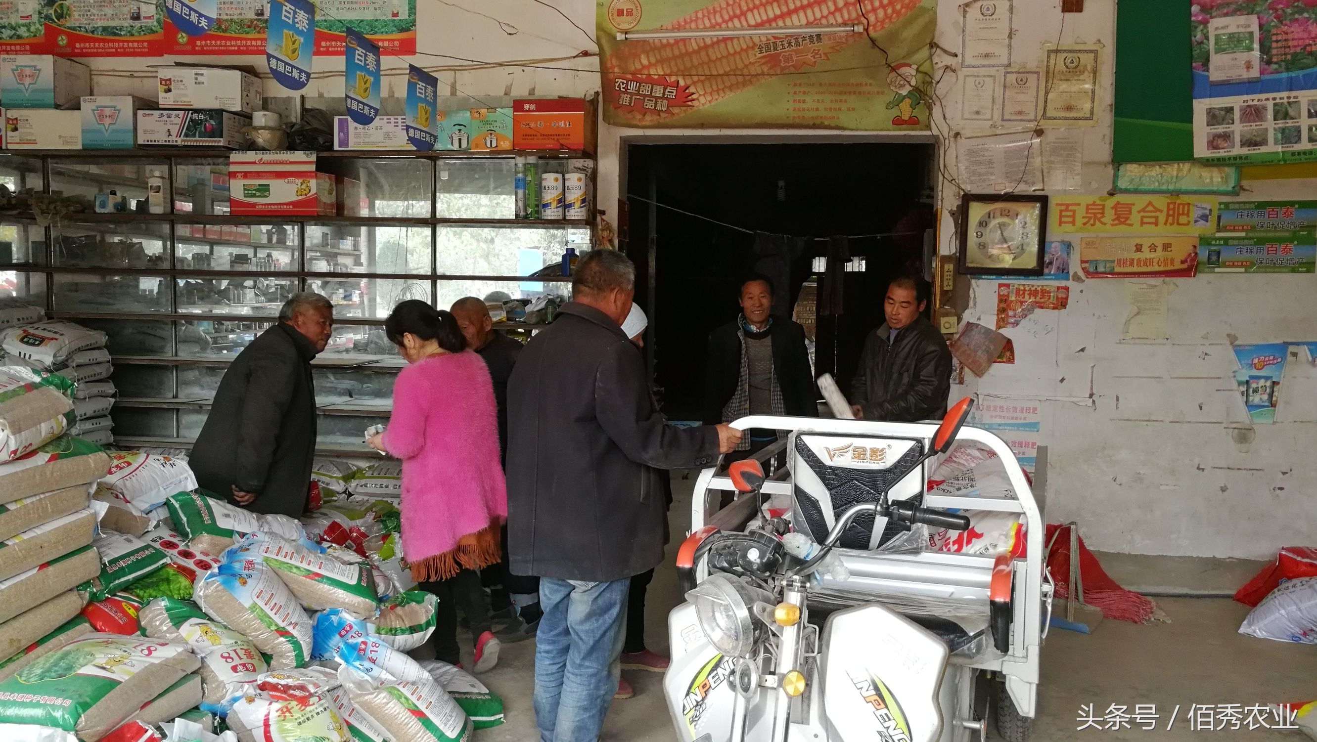 农村有什么生意比较好做的,农村有面子的生意