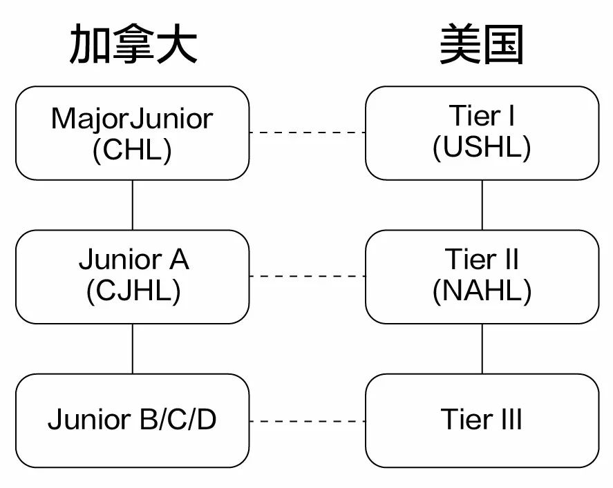 冰球在加拿大受欢迎吗,想送孩子去加拿大