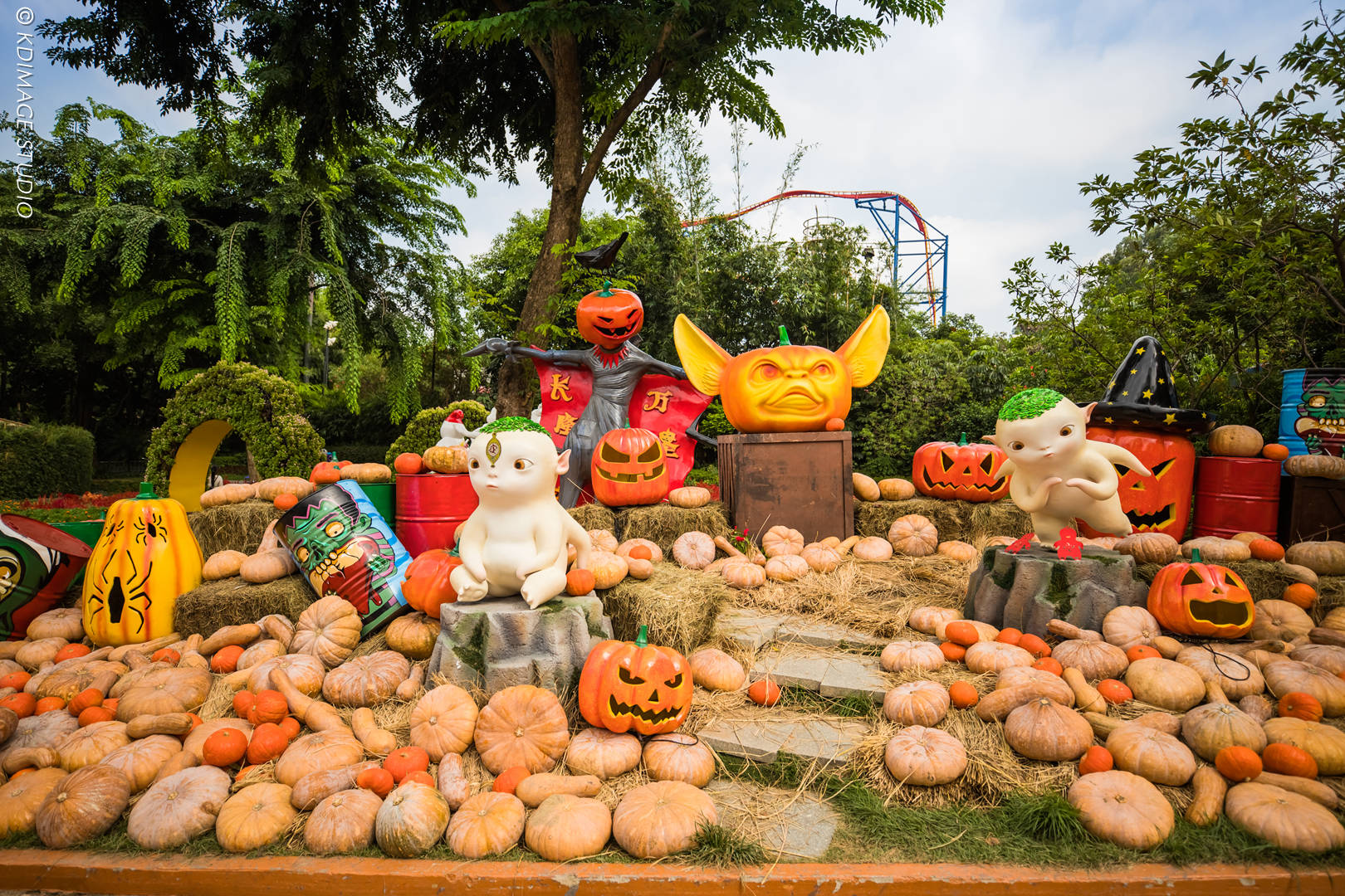 久违的狂欢：和许巍一起过长隆欢乐万圣节