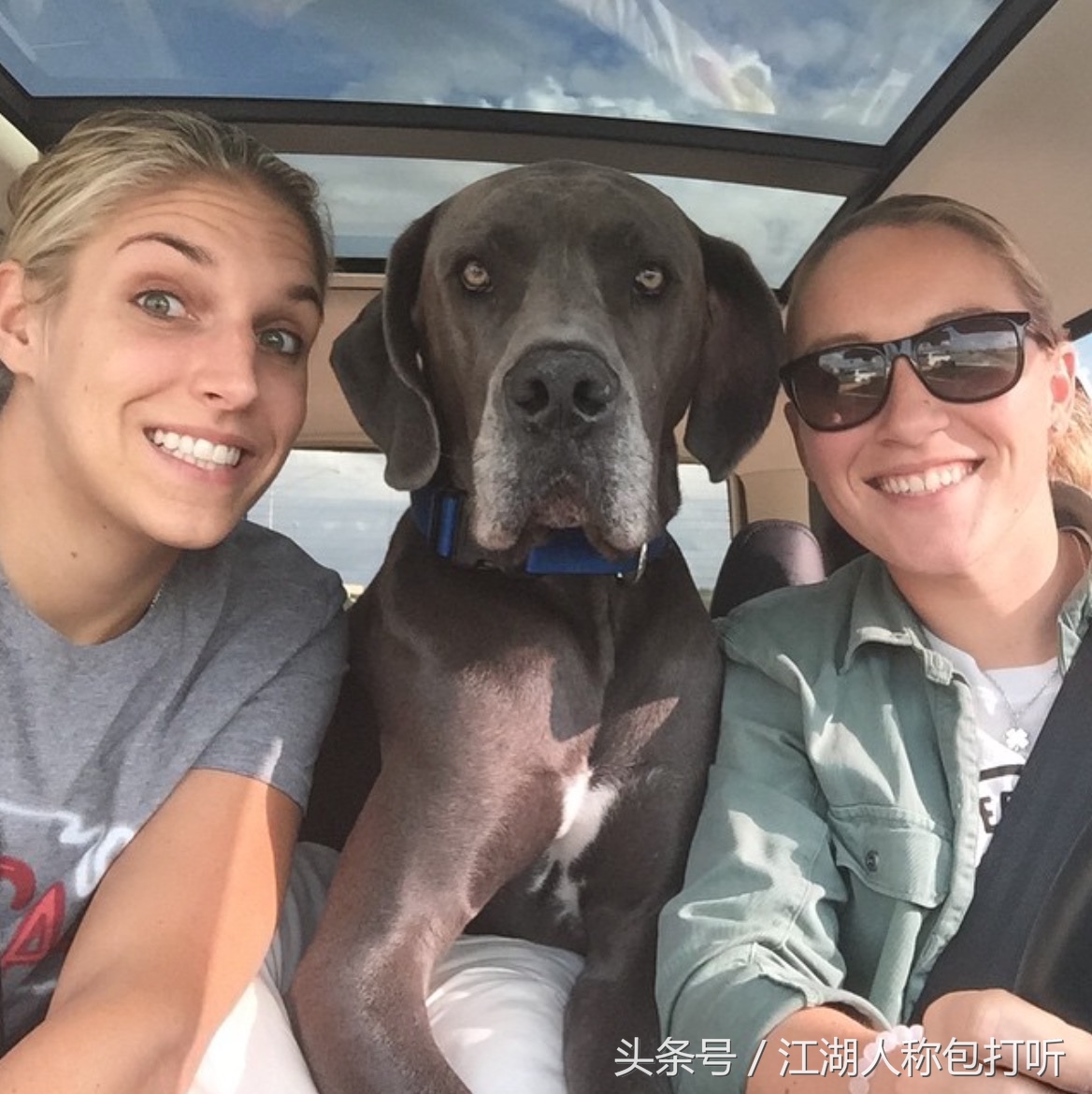 库里女球员,库里篮球明星