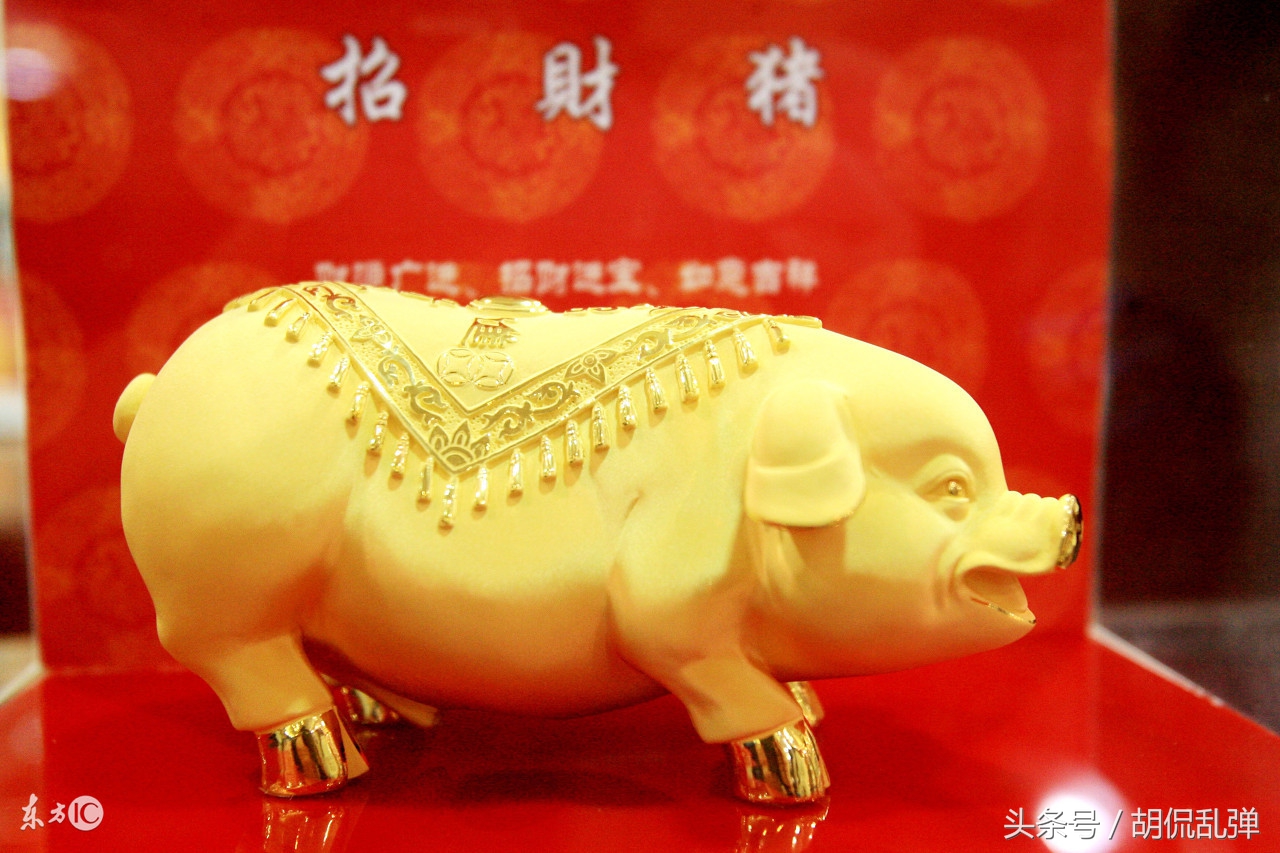 71年生肖猪今日运势,生肖猪卯时出生的运势