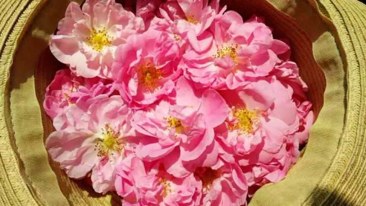 女人是最冲动的物种没有之一！38.9平老公房妹纸租回来任性装修！