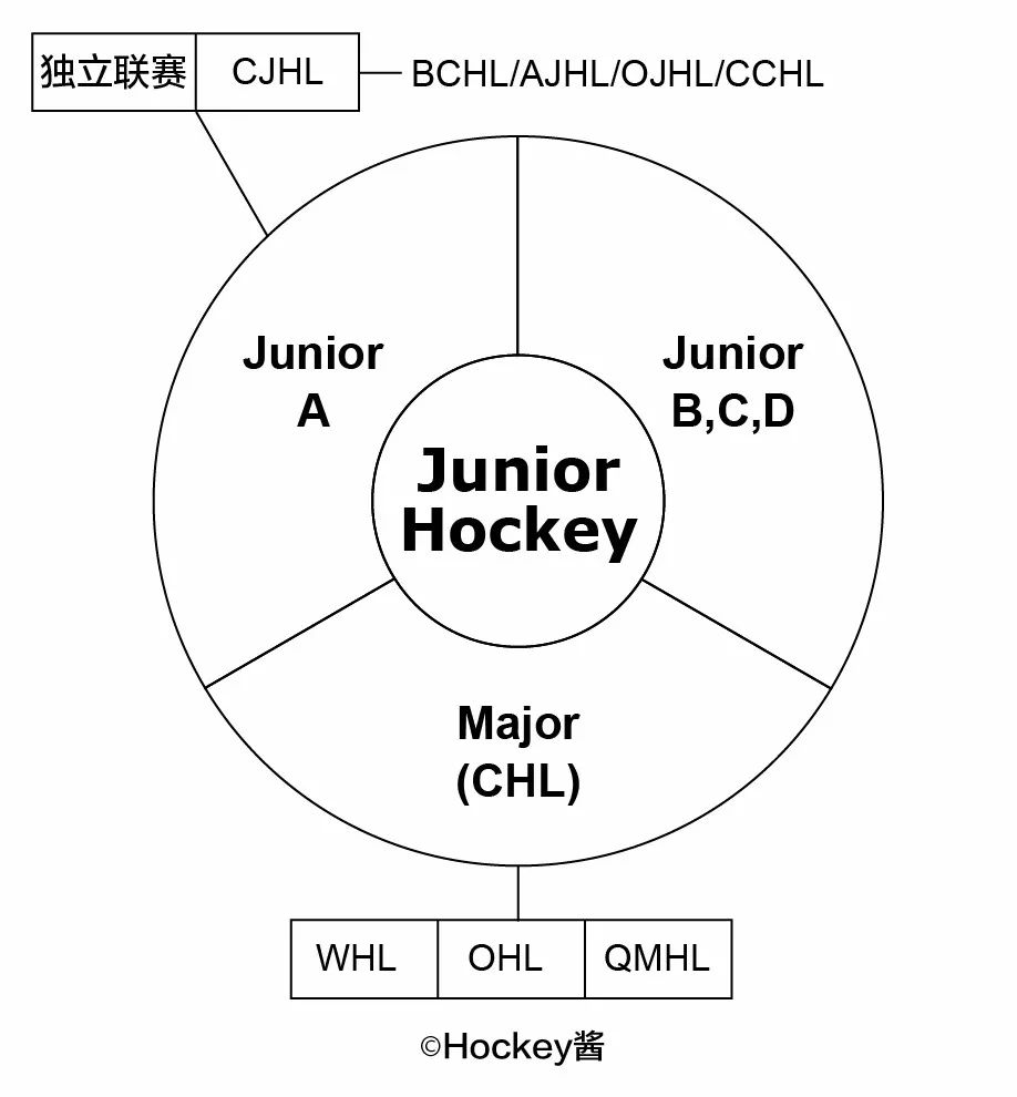 冰球在加拿大受欢迎吗,想送孩子去加拿大