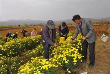 农民返乡创业不如试试这4个项目,农民工返乡创业成功的秘诀